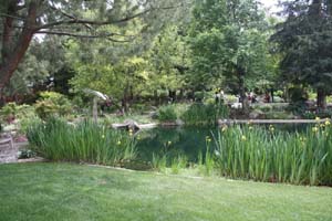 20090502_Fresno Gardens_2851