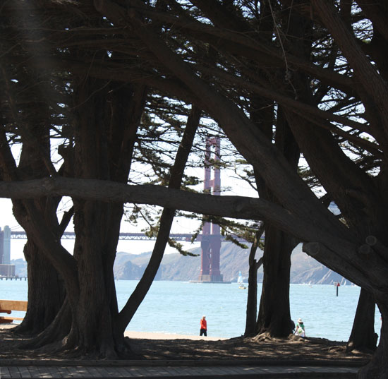 20090614_San Francisco_3077 cropped