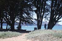 20090614_San Francisco_3073