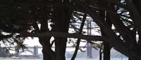 20090614_San Francisco_3075 cropped