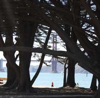20090614_San Francisco_3077 cropped