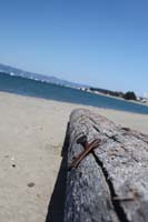 20090614_San Francisco_3081