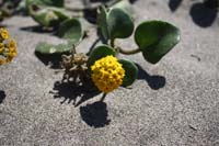 20090614_San Francisco_3090