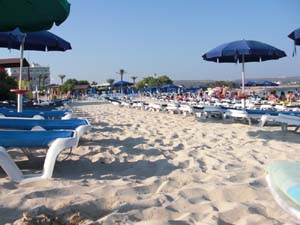 20090721_Birthday_0009