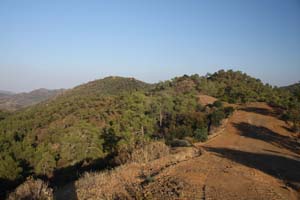 20090814_About with Raphael_0453