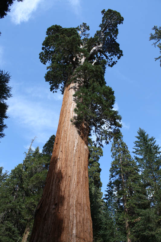20090920_Kings Canyon_1557