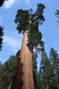 20090920_Kings Canyon_1557