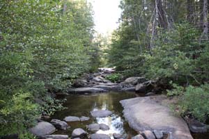 20090920_Kings Canyon_1573
