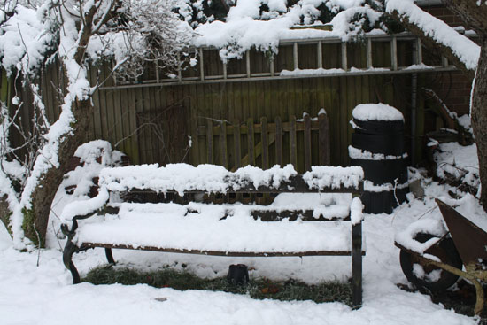 Bench under apple trees