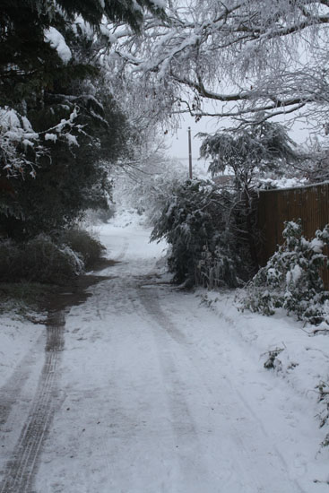 Garde Road looking South