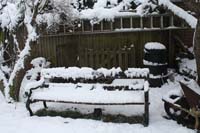 Bench under apple trees