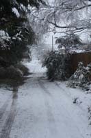 Garde Road looking South